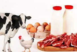 Livestock Products